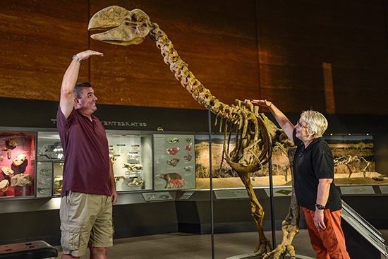 Big bird Skeleton at the Museum of Central Australia