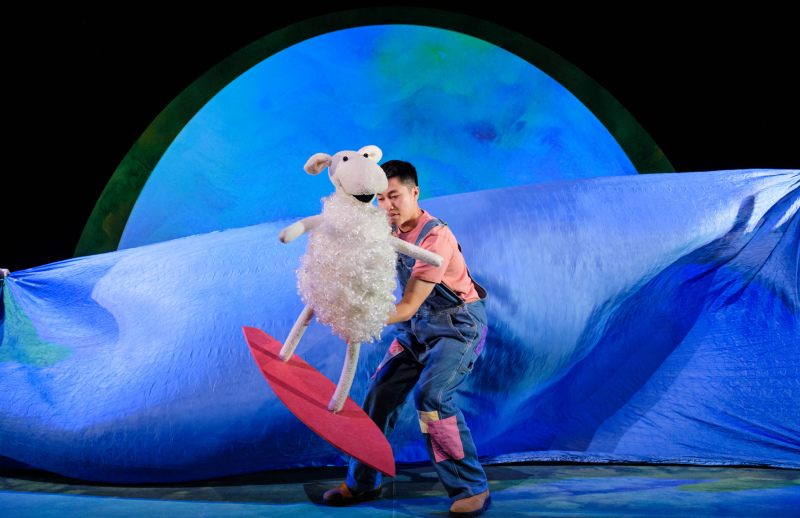 Where is the Green Sheep - Wave Sheep - Photos copyright © Robert Catto 2025