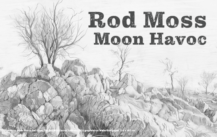 Rod Moss: Moon Havoc