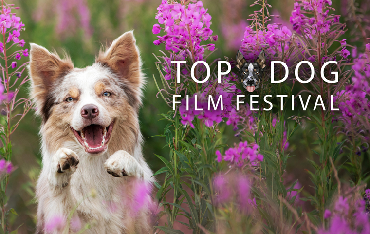 Top Dog Film Festival 2025 - Image 1