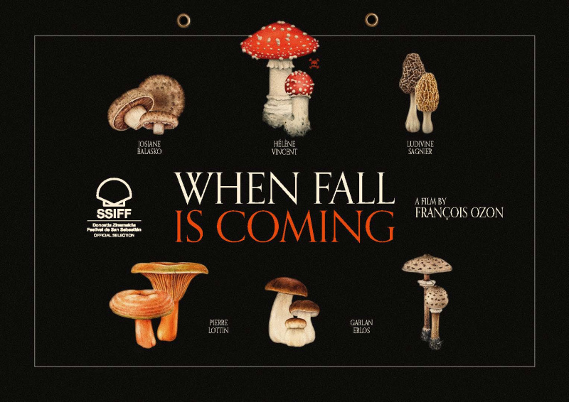 When Fall is Coming - Image 6