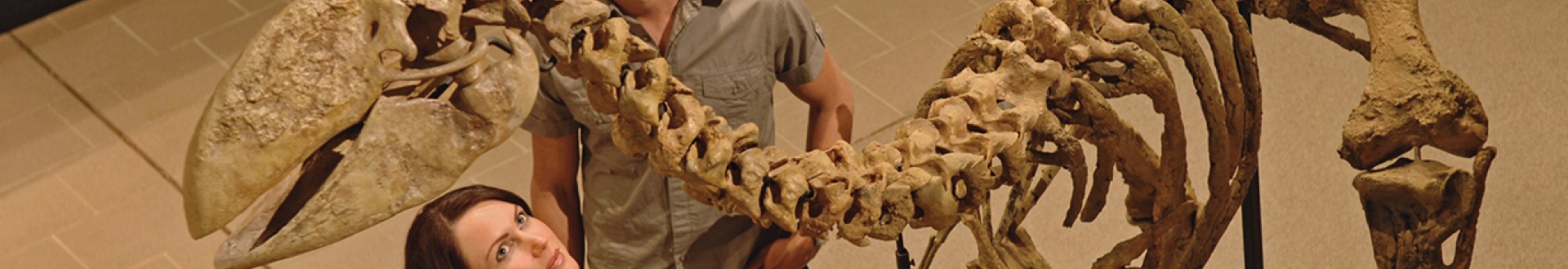 Museum of Central Australia Skeleton