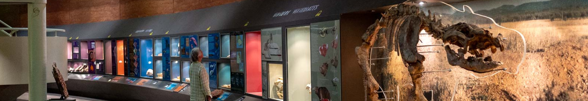 Museum of Central Australia