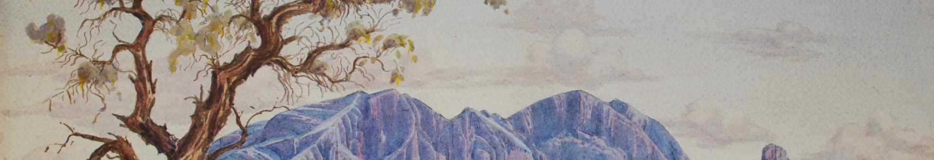 Albert Namatjira, Mount Sonder with Corkwood Tree